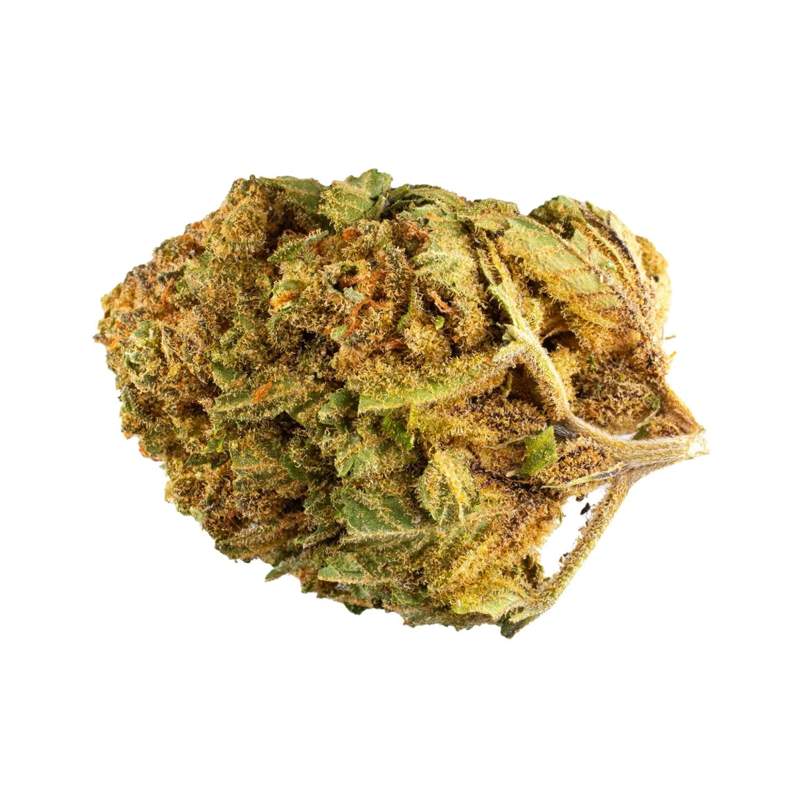 BubbleGum