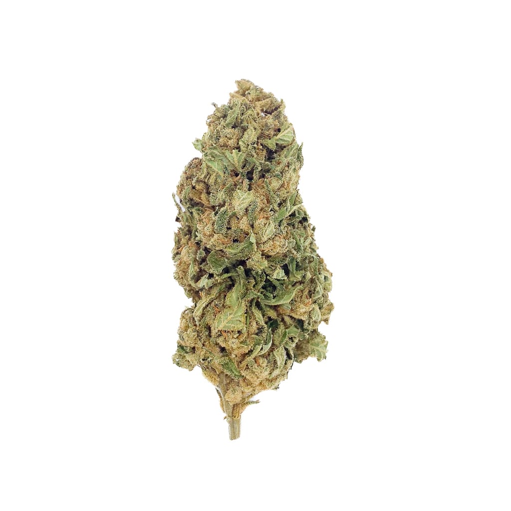 Super Lemon 2.0