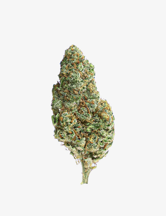 🎁 White Widow (100% off)